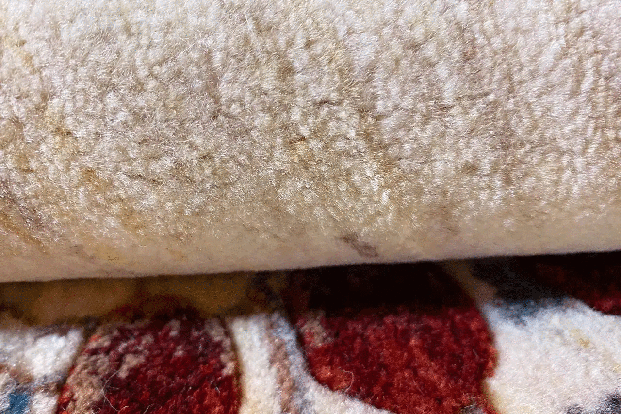 Gabbeh - Lori 28383 (149x149cm) - German Carpet Shop