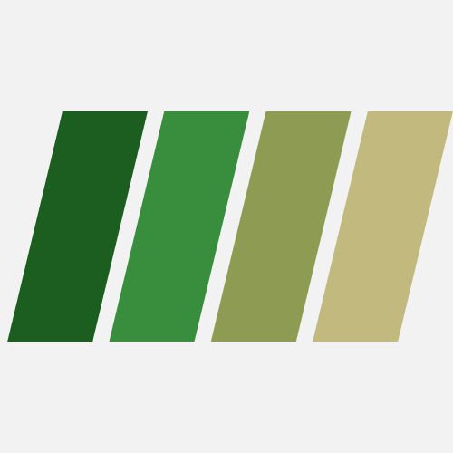 Grüne und Olivfarbene Teppiche - German Carpet Shop