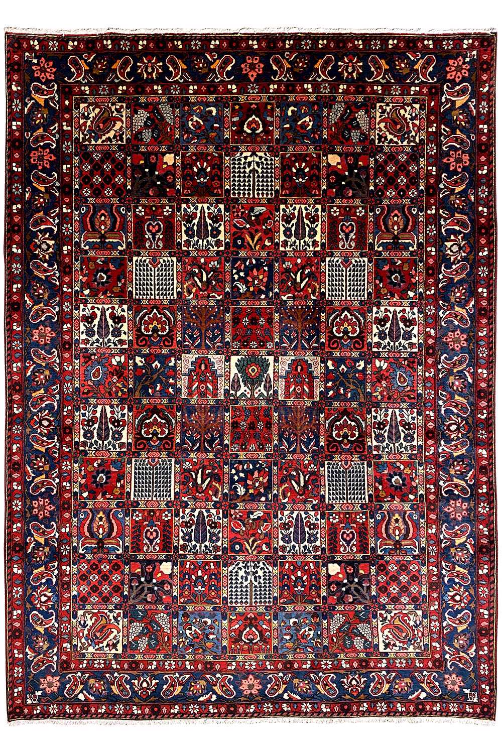 Bakhtiari (320x214 cm) - German Carpet Shop
