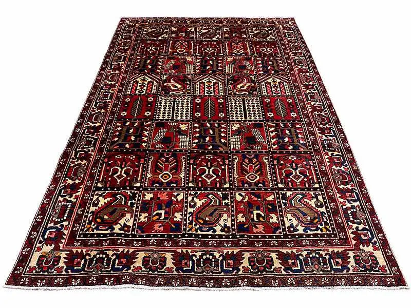 Bakhtiari (313x208 cm) - German Carpet Shop