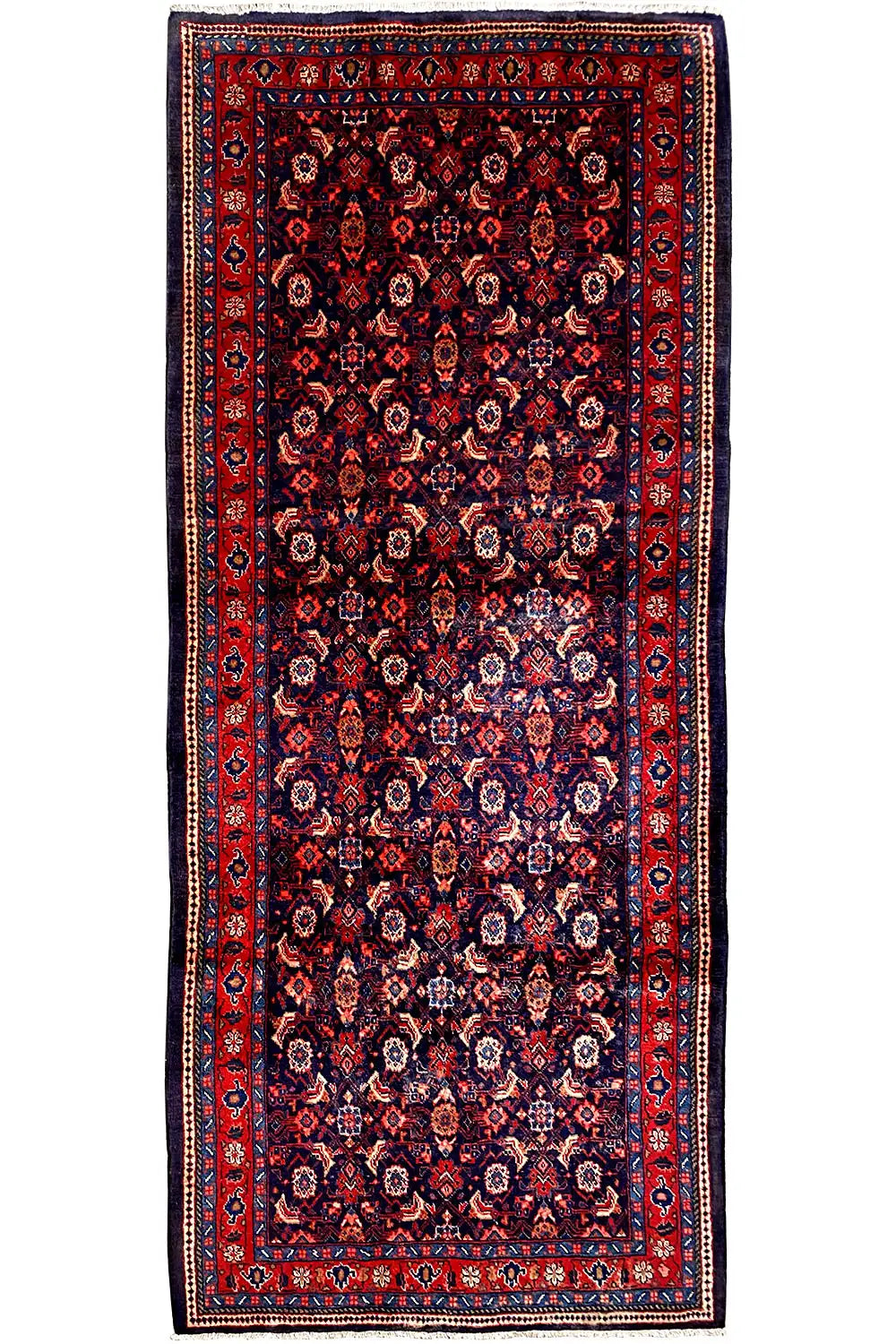 Hamedan (313x136cm) - German Carpet Shop