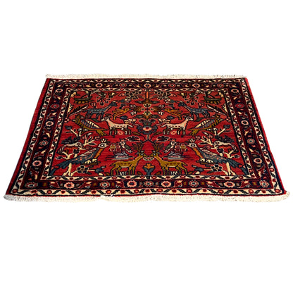  Poshti Teppich, Rot, 77x51cm - Premium Poshti Teppich from German Carpet Shop - Just €170! Shop now at German Carpet Shop