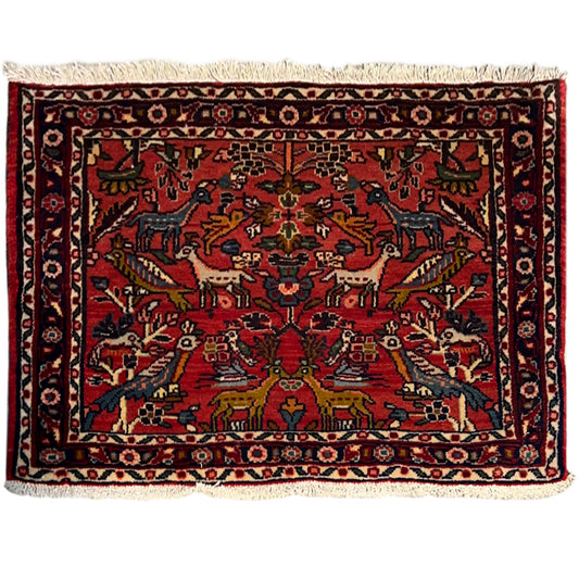  Poshti Teppich, Rot, 77x51cm - Premium Poshti Teppich from German Carpet Shop - Just €170! Shop now at German Carpet Shop