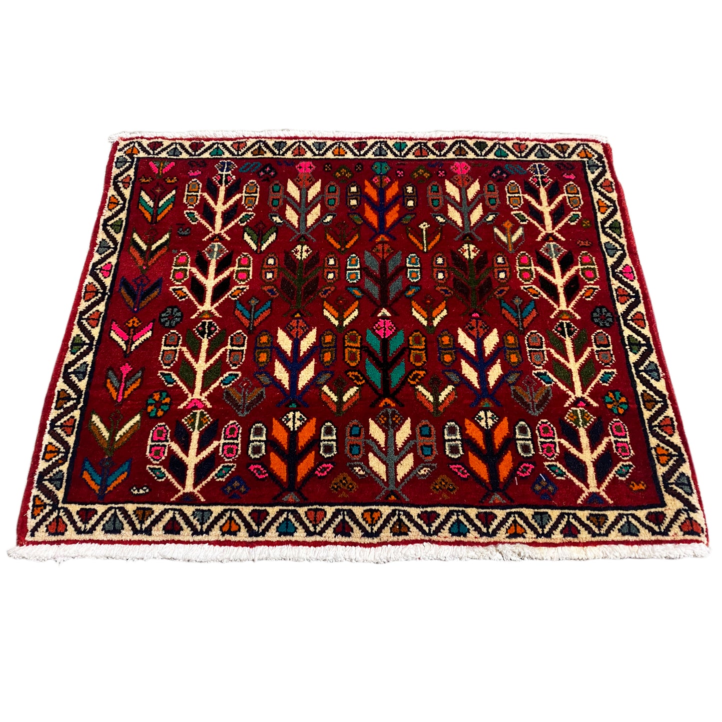 PoshtiTorkey-8982625-1 - German Carpet Shop