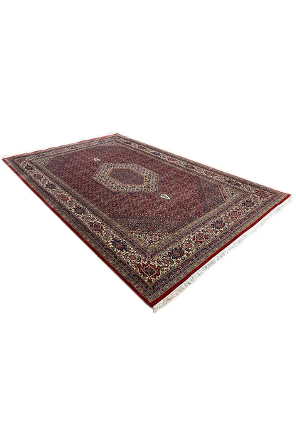  Bidjar - (303x200 cm) - Premium Teppich from German Carpet Shop - Just €1500! Shop now at German Carpet Shop