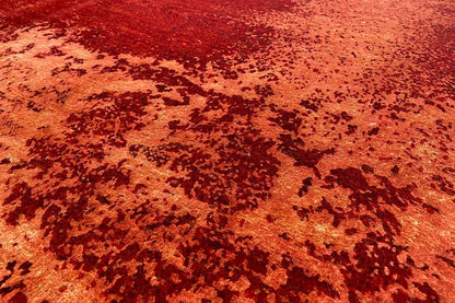 Designer-Teppich - 108163 (243x173cm) - German Carpet Shop