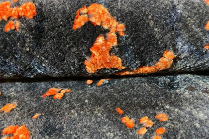 Designer-Teppich - 163 (301x251 cm) - German Carpet Shop