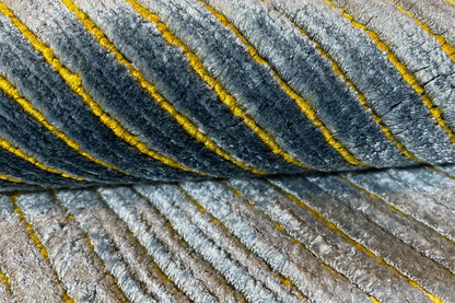 Designer-Teppich - Bo Hamsa (303x250 cm) - German Carpet Shop