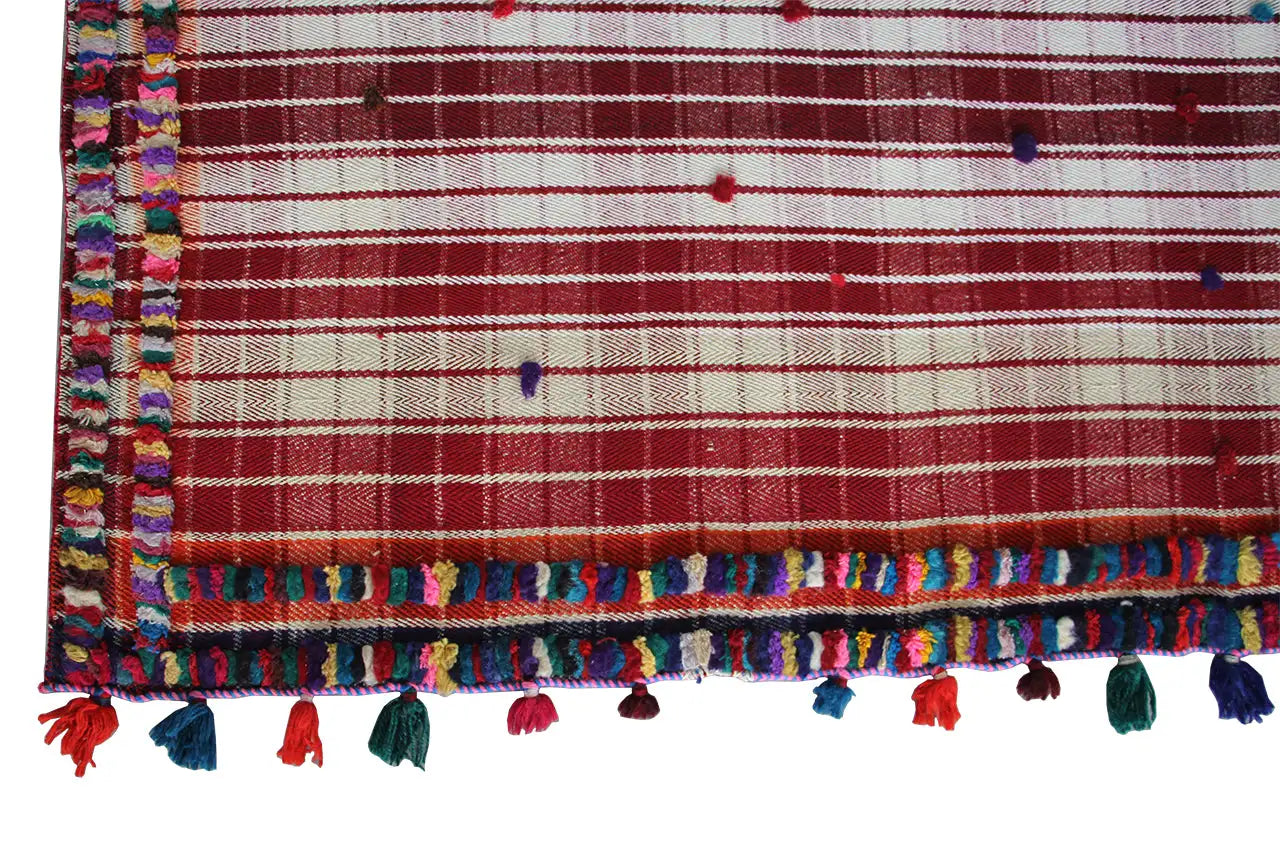 Jajim (244x164 cm) - German Carpet Shop